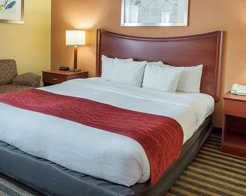 Comfort Inn Petersburg Near Fort Gregg-Adams Esterno foto