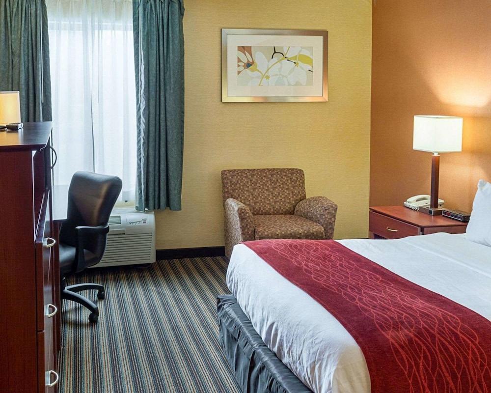 Comfort Inn Petersburg Near Fort Gregg-Adams Esterno foto