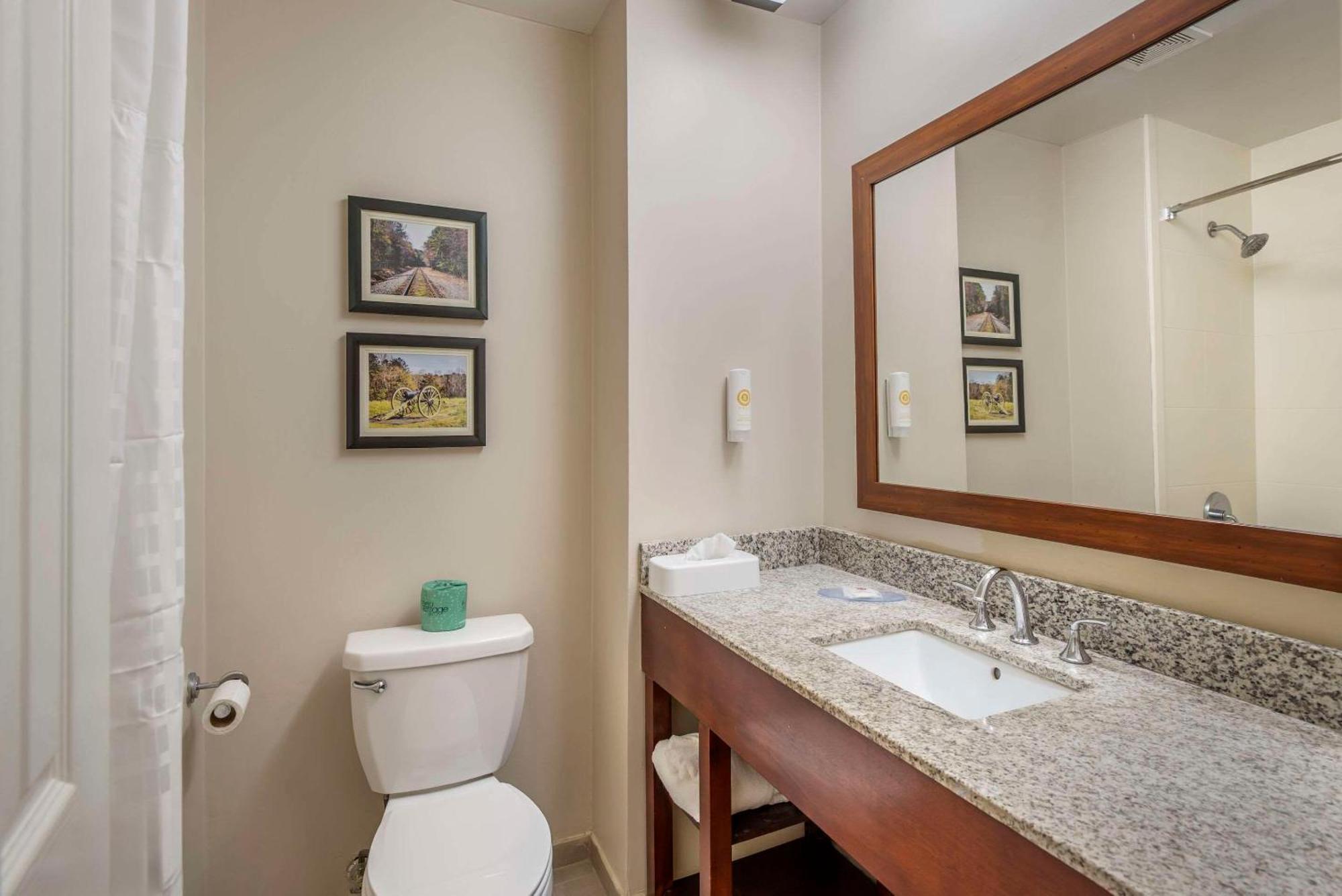 Comfort Inn Petersburg Near Fort Gregg-Adams Esterno foto