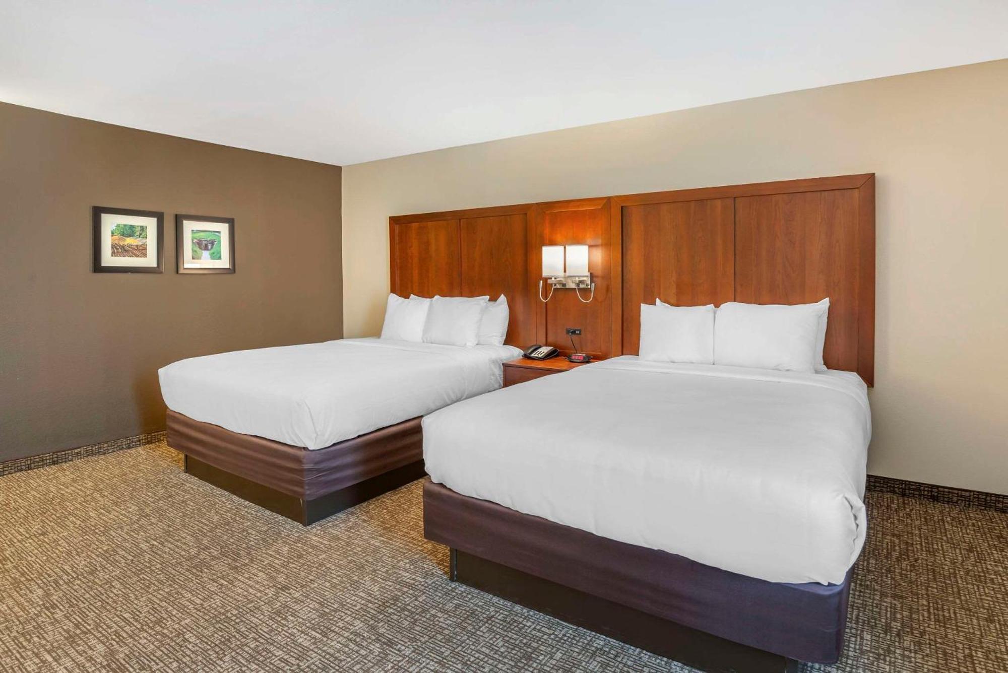 Comfort Inn Petersburg Near Fort Gregg-Adams Esterno foto