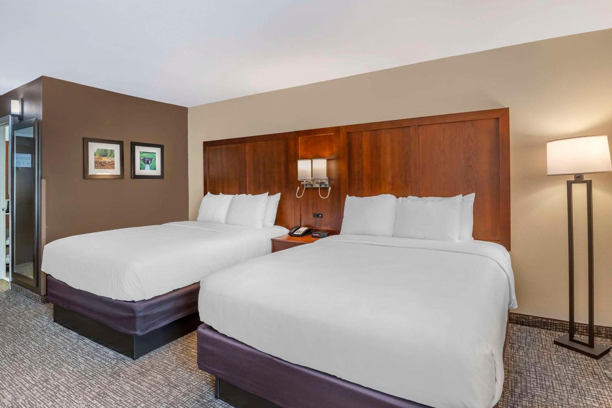 Comfort Inn Petersburg Near Fort Gregg-Adams Esterno foto