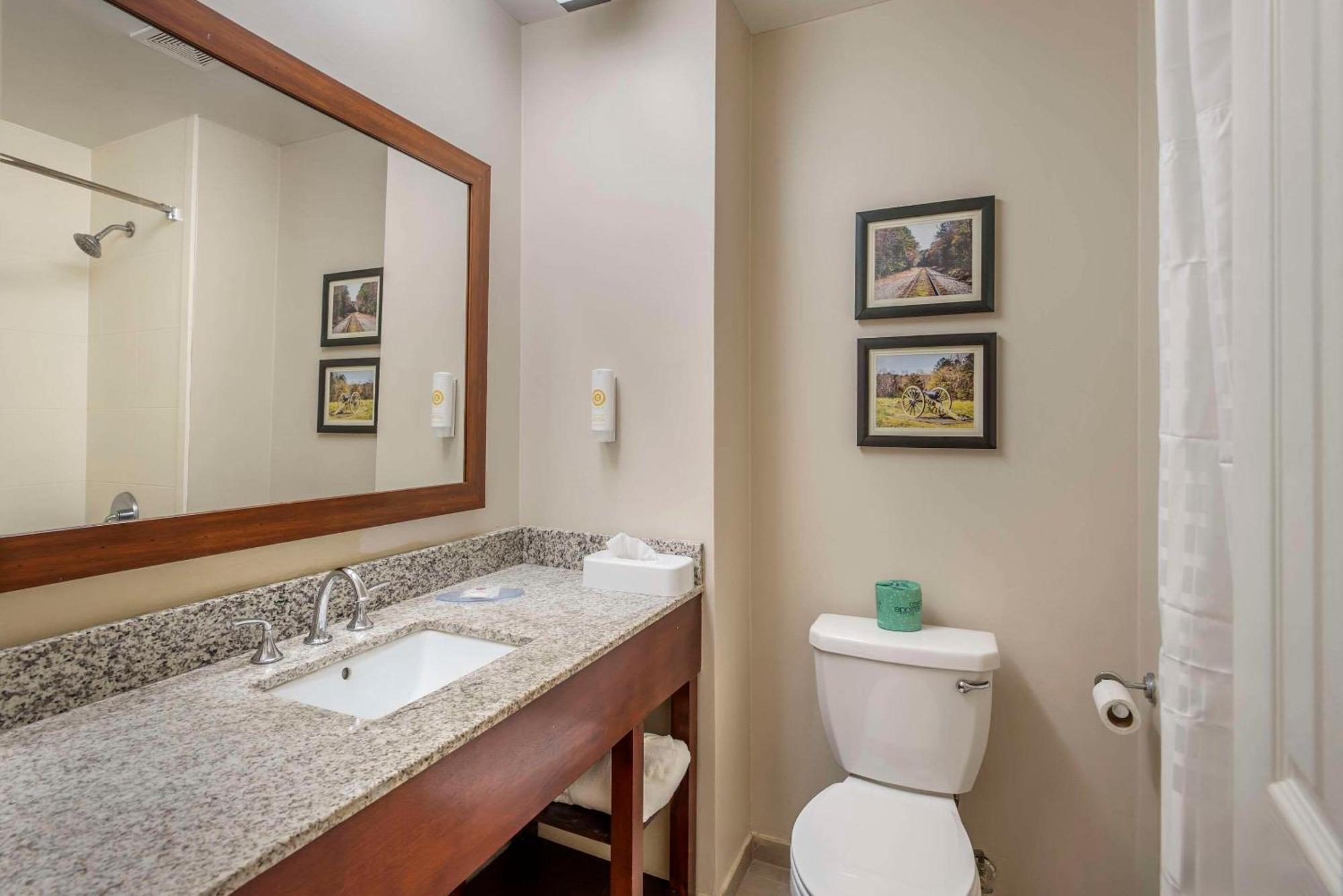 Comfort Inn Petersburg Near Fort Gregg-Adams Esterno foto