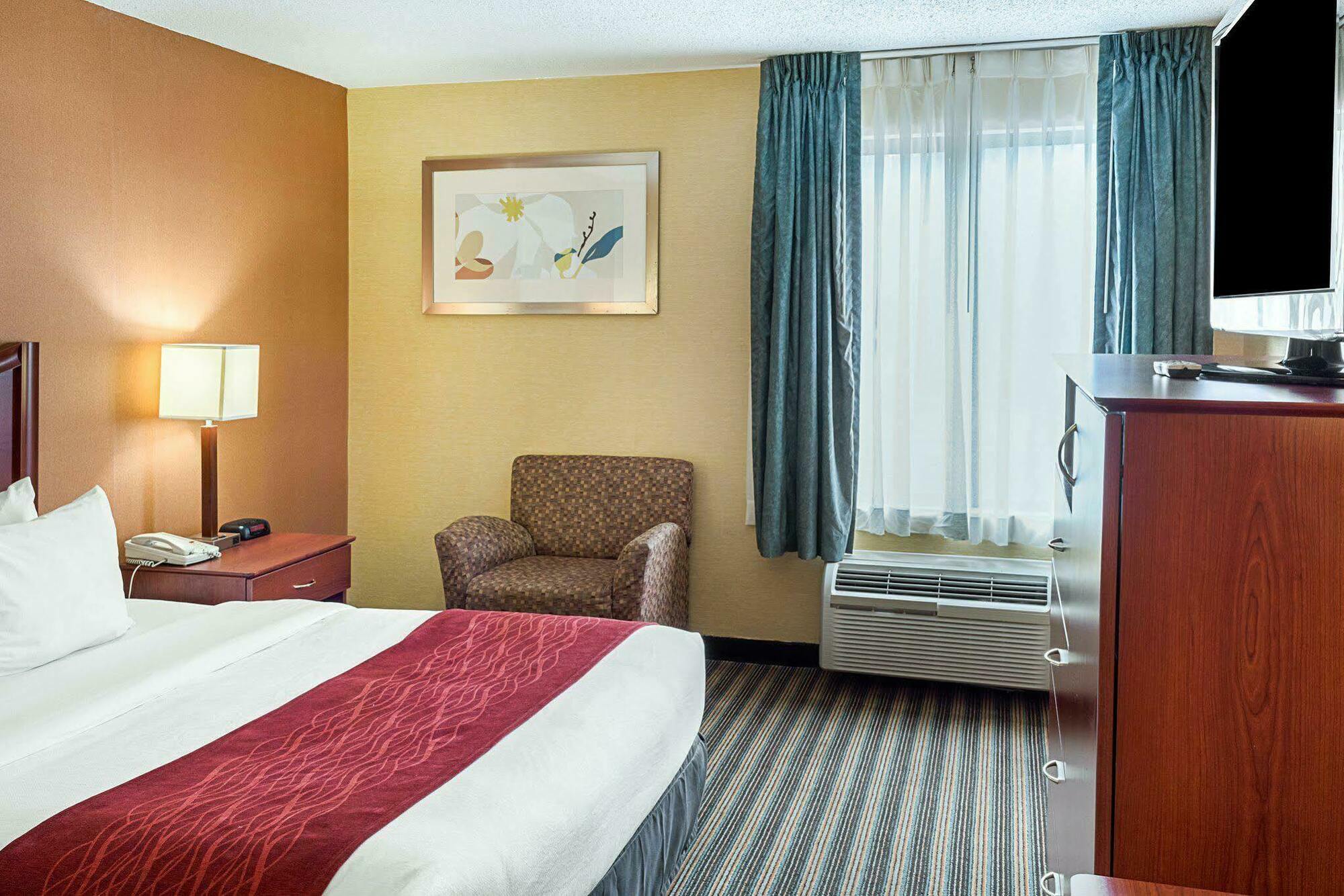 Comfort Inn Petersburg Near Fort Gregg-Adams Esterno foto