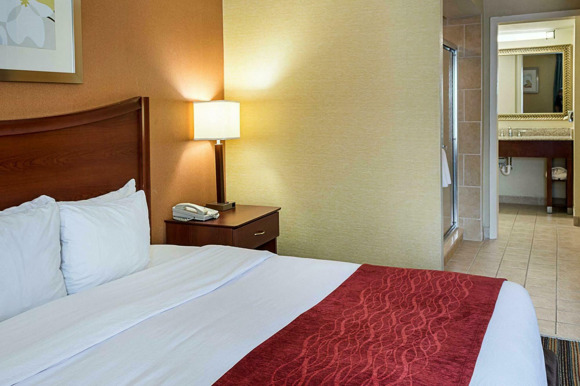 Comfort Inn Petersburg Near Fort Gregg-Adams Esterno foto